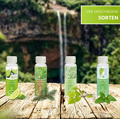 Sauna Set | KK Saunaaufgussset 4 x 100 ml + 50g Mentholkristalle | Saunakonzentrat + Menthol-Kristalle (Skandinavien, inkl. 50 g Menthol-Kristalle) - 2