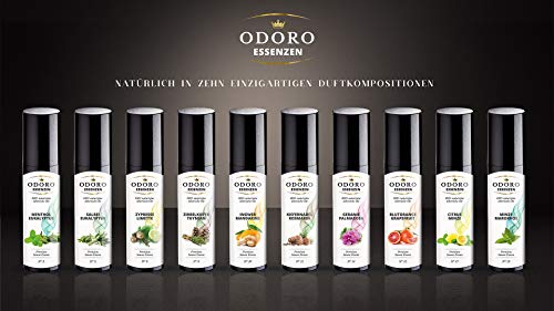 Saunaaufguss Kiefernadel Rosmarin Zeder Duft – Odoro Essenzen: 100% ätherische Sauna-Öle - 2