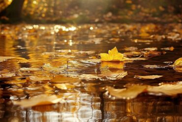 Goldene Auszeit: Die Sauna als perfekter Rückzugsort im Herbst