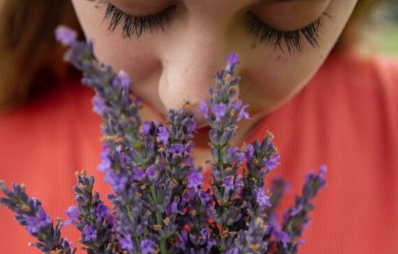 Natürliche Hilfe bei Allergien: Die besten ätherischen Öle zur Linderung von Symptomen