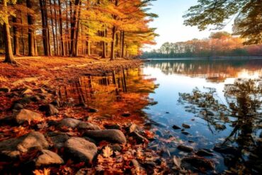 Seelenwärme im Herbst: Sauna-Momente der Besinnung und Erneuerung