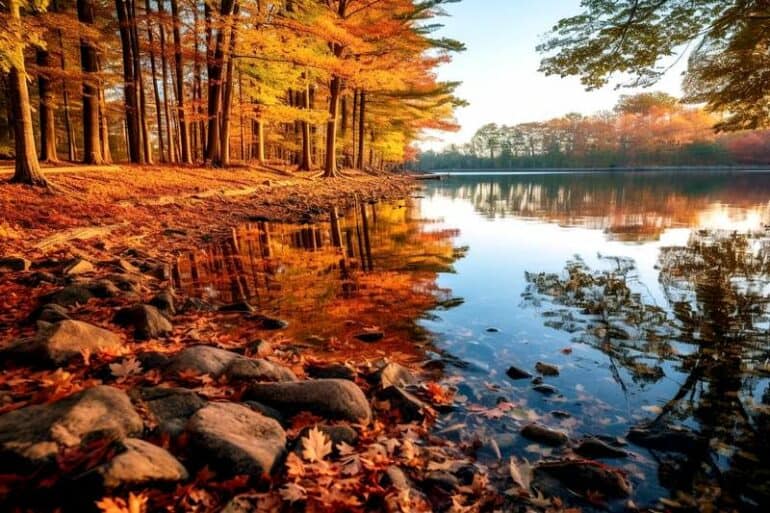 Seelenwärme im Herbst: Sauna-Momente der Besinnung und Erneuerung