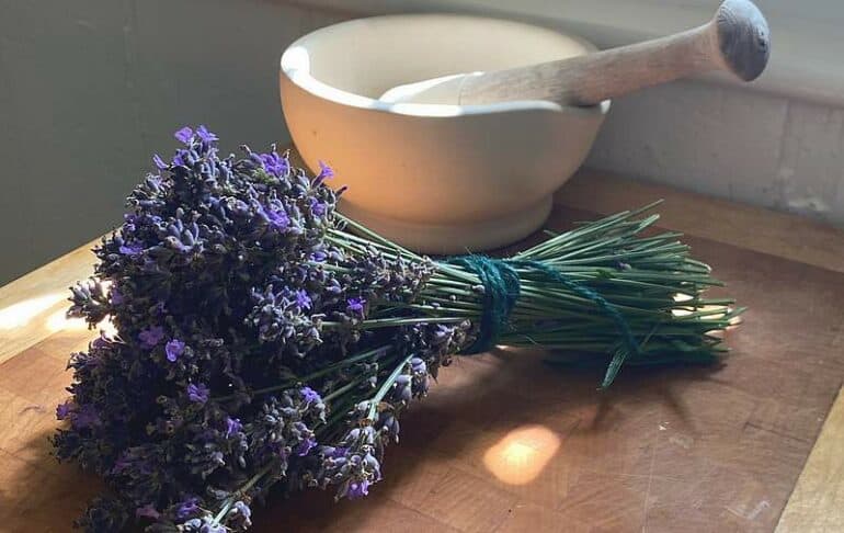 Lavendel-Aufguss: Entspannung pur in der Sauna