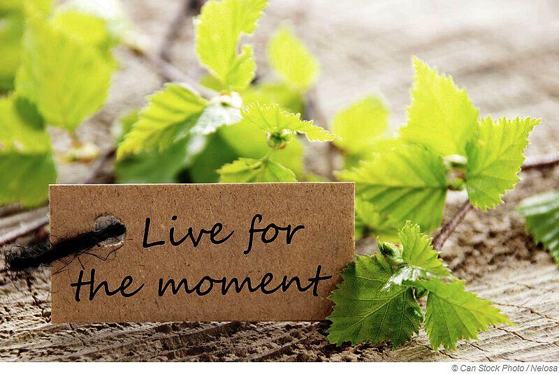 Cori im Video Blog „Carpe Diem“