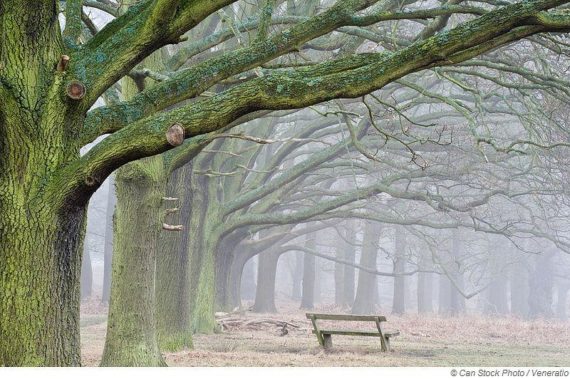 Kann Sauna gegen Depressionen helfen?